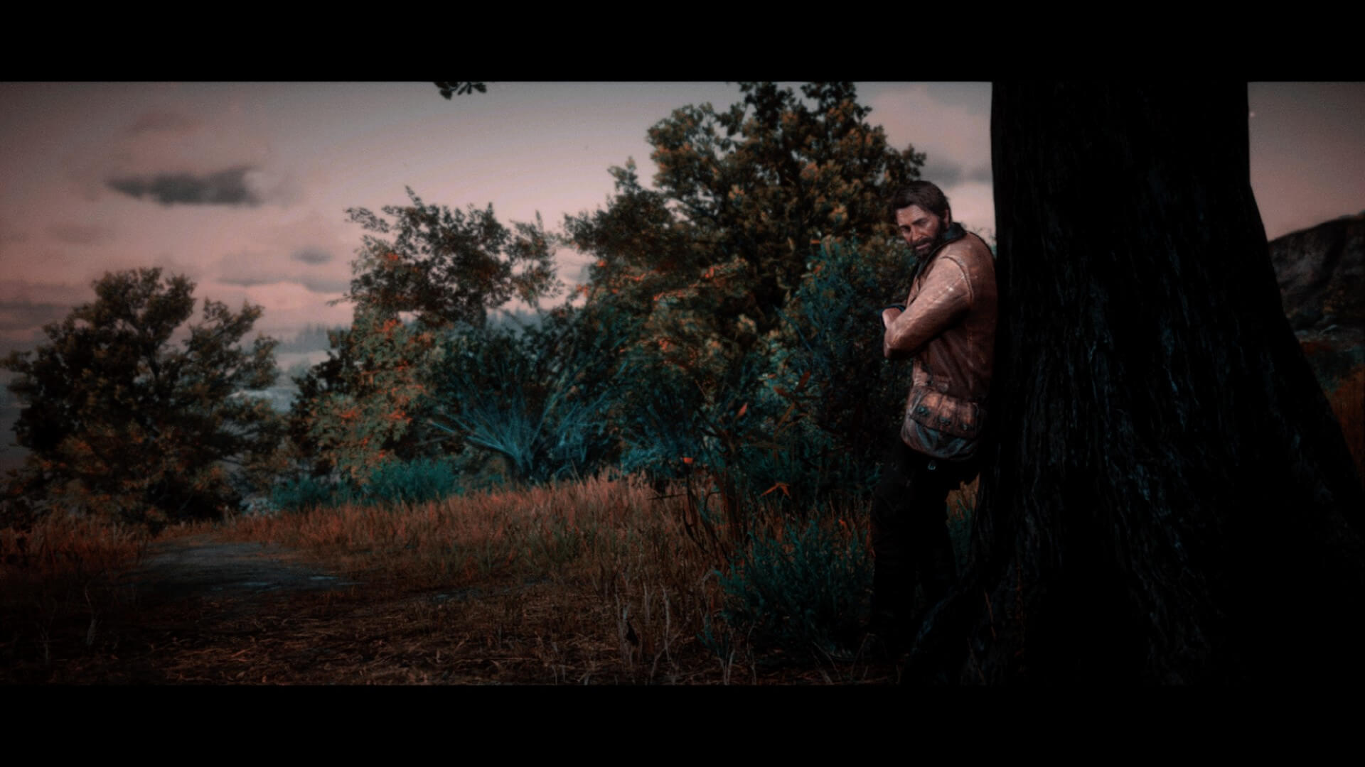 Arthur Morgan, famebo, RDR2, Red Dead Redemption 2